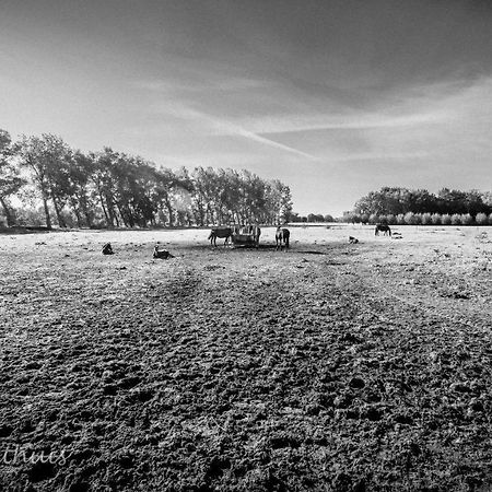 Bed & Breakfast De Bimd Hoeve De Bus Exteriér fotografie