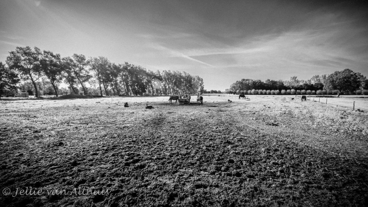 Bed & Breakfast De Bimd Hoeve De Bus Exteriér fotografie